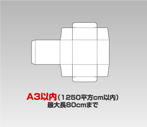 紙パッケージの試作 ［A3（1250cm2）以内］